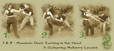 Guan Yu Martial Arts for Tai Chi, Tiger Claw Kung Fu and Bagua in Hertfordshire (Herts)